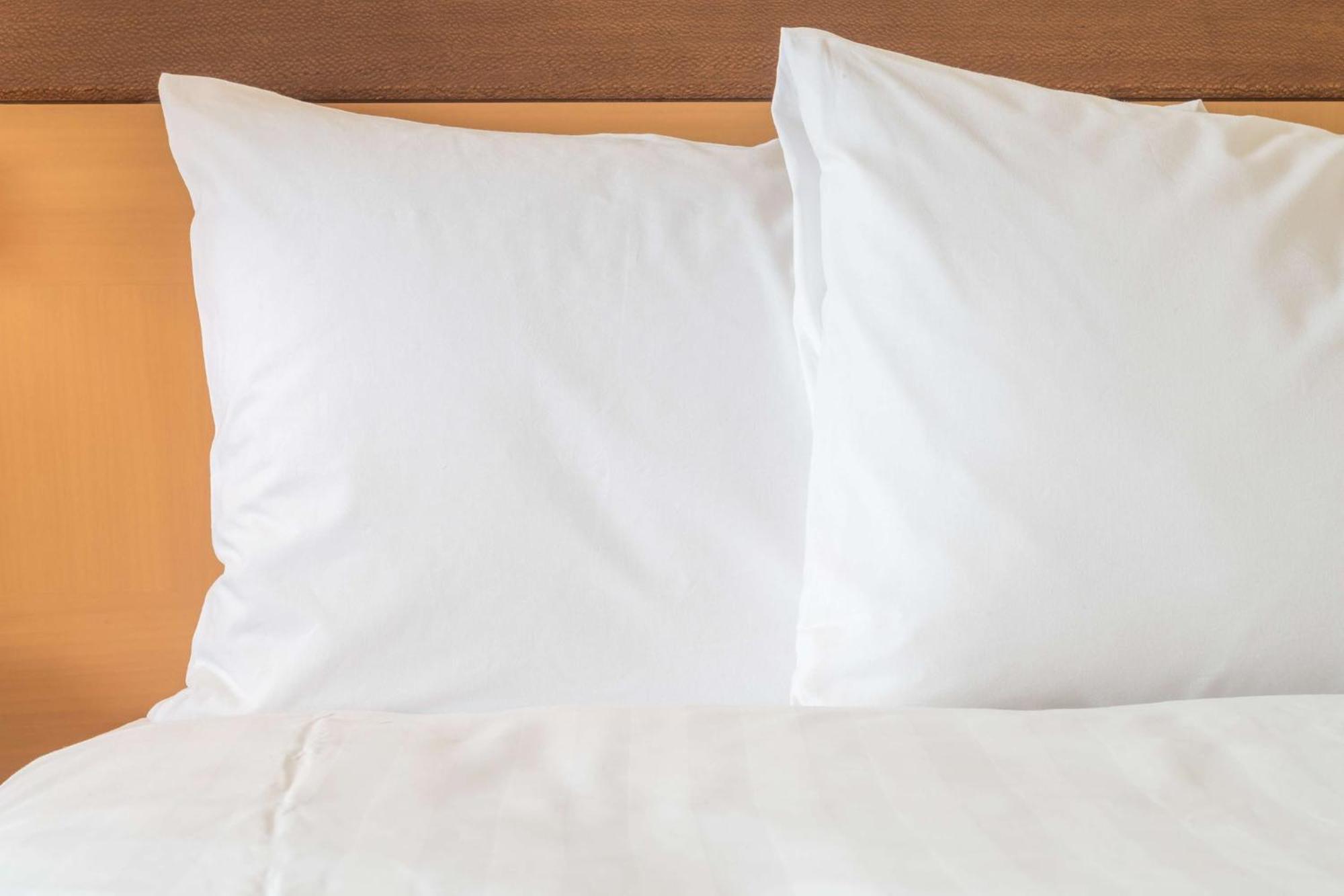 Holiday Inn Atlanta-Gas South Arena Area By Ihg Duluth Buitenkant foto